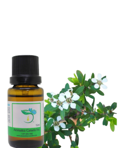 Thyme Organic Essential Oil