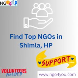 Ngos in Shimla