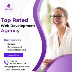 Dipa Solutions: Elevate Your Online Presence with the Top Rated Web Development Agency