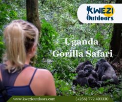 Uganda Gorilla Safari