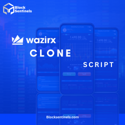 WazirX Clone script development company