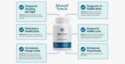 Navigating the Landscape of Sight Care Supplements: An In-Depth Exploration