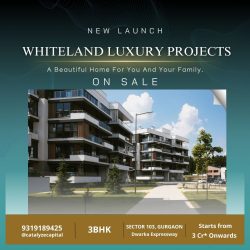 Investing in Real Estate: Why Whiteland The Aspen Iconic Should Be Your Top Choice