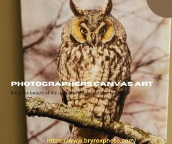 Buy Photographers Canvas Art Online in North Vancouver, BC