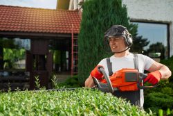 Premium Gardening Services in Manchester – Your Trusted Green Thumb Partner