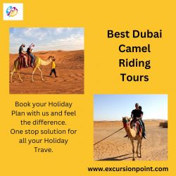 Best Dubai Camel Riding Tours