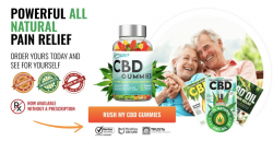 Bliss Rise CBD Gummies Reviews: (Bliss Rise CBD Gummies (Legit Or Fake 2024 ) CBD Gummies For Di ...