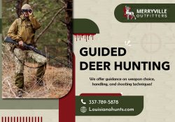 Get Professional Wildlife Adventure