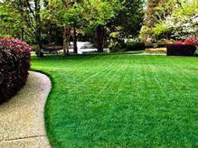 How to Avoid Lawn Care Mistakes To Maintain the Growth of Lush Grass?