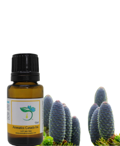 Spruce Black Organic Essential Oil