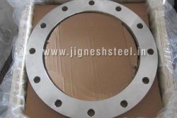 Super Duplex Flanges