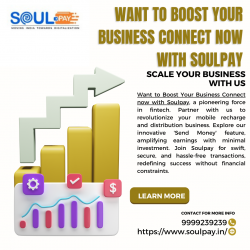 Want to Boost Your Business Connect now with Soulpay.