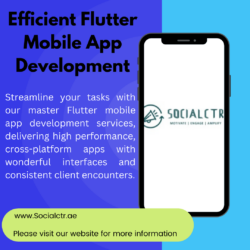 Efficient Flutter Mobile App Development