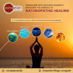 Harmonize with Nature’s Elements unveiling the essence of Naturopathic Healing