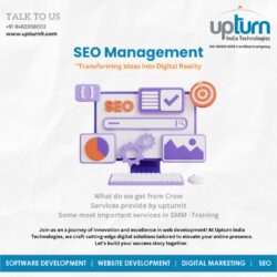 Upturnit – Digital Marketing Services In Nashik
