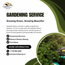 Enhance Our Garden Beauty With Jawanda Group