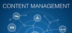 Content Management – A Comprehensive Guide with Yellowfin