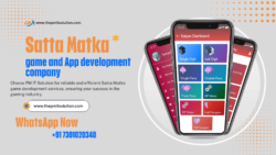 Satta Matka Game Development Company | PM IT Solution