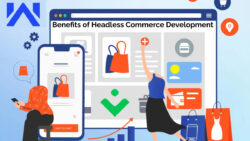 Headless Commerce Development Tailored for Growth