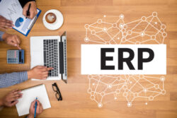 ERP Deployment Models | Embarcadero