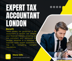 Expert Tax Accountant London