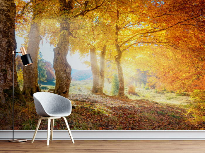 Nature Inspired Fall Wallpaper