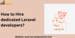 How to Hire dedicated Laravel developers?