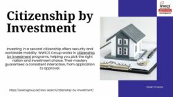 Secure Citizenship by Investment with the Help of WWICS Group