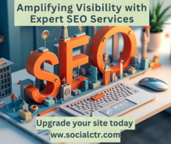 Amplifying Visibility with Expert SEO Services