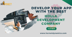 Develop your app with the best Holla Development Company