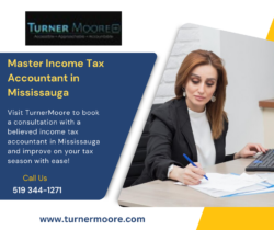 Master Income Tax Accountant in Mississauga