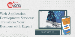 Web Application Development Services USA: Transform Your Business with Expert