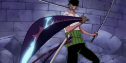 Why Did Zoro Return Shusui? Exploring His Growth as a Swordsman