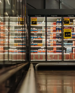 Where Can You Find Reliable Commercial Refrigeration Solutions?