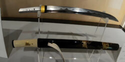 The Japanese Tanto: A Perfect Blend of Tradition and Practicality
