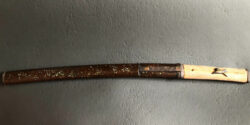 Understanding the Differences Between Wakizashi and Tanto Swords