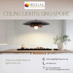 Custom Ceiling Light Solutions for Unique Spaces