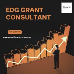 Expert EDG Grant Consultant for Your Business Success