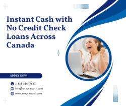 Borrow Money Hassle-Free with No Credit Check Loans in Canada