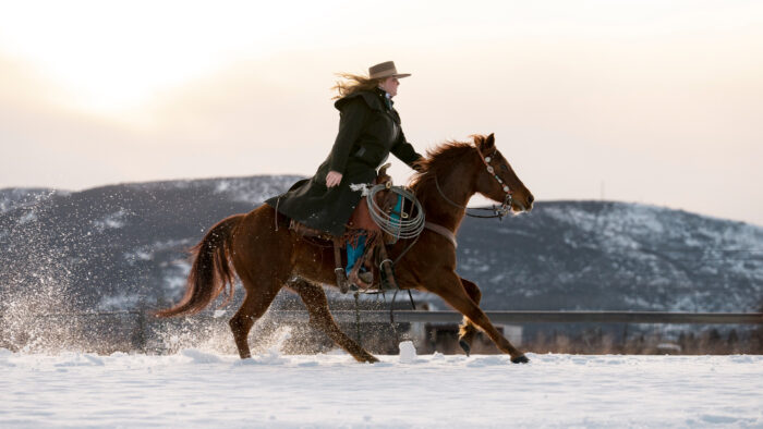 Horse Racing Software Development