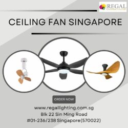 Best Ceiling Fans for Bedrooms: Ensuring a Comfortable Sleep