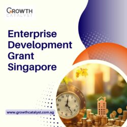 Expand Your Business Horizons with the Enterprise Development Grant