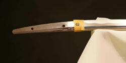 Legendary Swords: Honjo Masamune and Goro Nyudo Masamune
