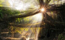 Book beautiful Shillong Meghalaya Package Tour