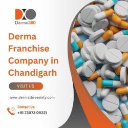 Expand Your Business with a Trusted Derma Franchise Company in Chandigarh