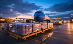 The Importance of International Logistics and Sustainable Development