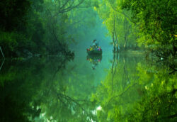 Wonderful Sundarban Tour Package from Kolkata – 2025 Spl Deal