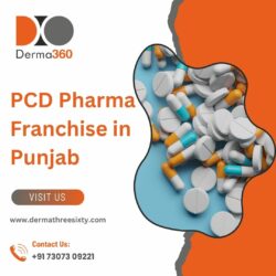 How to Choose the Right PCD Pharma Franchise in Punjab