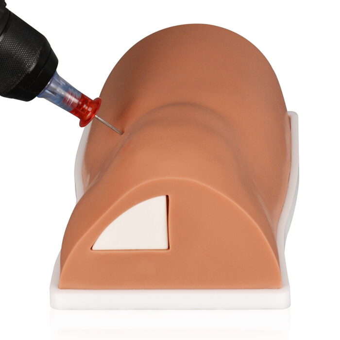 Tibia IO Trainer with Removable Bone, Adult