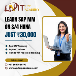 Experienced SAP Basis Module Consultant Available